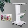 Beauty Salon Trolley Cart, Salon Rolling Tray White Storage Spa Cart with 4 Locking Wheels, Instrument Tray, Mobile Salon Spa Service, 27"x15"x13"(Max Load 40kg/88lbs) view 2