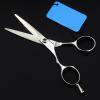 Professional Hair Cutting Shears, 5.5 Inch left hand Hairdressing Scissors 9CR 62HRC Cutting/Thinning Scissors (Color : Cutting) view 1