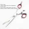 Swivel Thumb Hair Cutting Shears, 6inch Titanium Flying Shears Swivel Thumb Shears Rotary Hair Scissors Hairdressing Fly Scissors Hairdresser Scissors (Color : 6 inch set) view 3