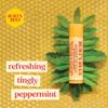 Burt's Bees Burts Bees Beeswax Bounty Assorted Gift Unisex 1 Pc view 4