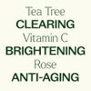 Plant Therapy Facial Serum Trio Set 1 oz each, Vitamin C & Hyaluronic Acid, Rose with Bakuchiol & Tea Tree with Niacinamide, Reduces the Appearance of Fine Lines & Wrinkles view 4
