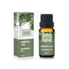 Rosemary Oil, %100 Rosmary Oil, Rosmarinus officinalis, 10 mL view 1