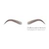 Bliss and Beyond USA | Microblading & Shading Tattoo | A combination of hair stoke and powdered brows | Non-toxic | Vegan friendly (Dramatic Hollywood, Brown) view 4