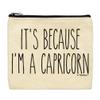 ThisWear Capricorn Astrology Gift For Men It's Because I'm A Capricorn 2-Pack Cosmetic Accessory Bags view 2