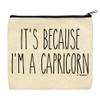 ThisWear Capricorn Astrology Gift For Men It's Because I'm A Capricorn 2-Pack Cosmetic Accessory Bags view 4