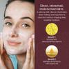 AVYA Hydroveda Essentials Daily Milk Cleanser (8.2oz) - Advanced Ayurvedic Skincare/Removes Makeup and Impurities for Natural Radiance/Ginger Blend Great for Sensitive Skin view 4
