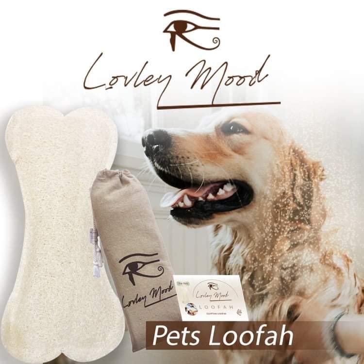 100% Natural Egyptian Loofah Exfoliating Sponge