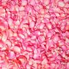 Admart Herbal Rose Petal Powder 75g view 3