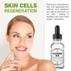 Herbalicious Hyaluronic Acid Serum  Hyaluronic Acid Serum for Face  Paraben-Free Pure Hyaluronic Acid  Moisture Boost Hydrating Serum  Anti-Aging Serum for Fine Lines, Wrinkles  2oz view 3