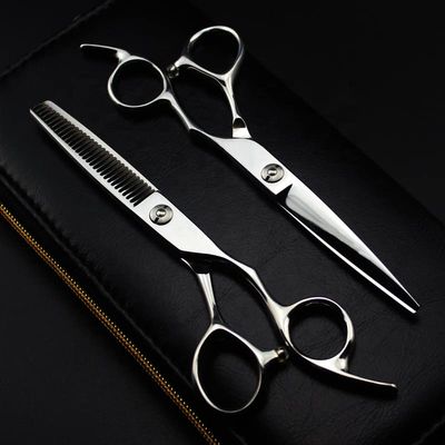 Professional Hair Cutting Shears, 6 Inch Silver 9CR Stainless Steel Professional Haircutter Salon Barber Scissors Hair Set