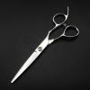 Professional Hair Cutting Shears, 6 Inch Silver 9CR Stainless Steel Professional Haircutter Salon Barber Scissors Hair Set view 4