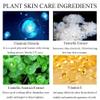 Air Cushion CC Cream Mushroom Head Cushion Foundation, BB Cream Face Makeup for Mature Skin Moisturizing Concealer Brighten Long-Lasting, Even Skin Tone for All Skin Types (Nude) view 3
