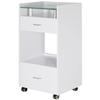 J & A Glass Top Spa Trolley for Salons, Spas & Estheticians - White Finish, Frosted Glass Shelf, 2 Storage Drawers, Open Lower Compartment, Rolling Casters for Mobility, JA-DP-Trolley (White) view 1