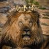 AOPRIE King & Queen Artemis Tiara and Crown for Women Men Crystal Hair Accessories for Wedding Prom Bridal Birthday Party Halloween Costume Christmas Gifts Gold Princess Tiara for Girls Boys view 2