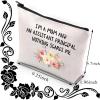 BDPWSS Assistant Principal Cosmetic Bag School Principal Appreciation Gift I'm a Mom And An Assistant Principal Nothing Scares Me Travel Pouch (Mom assis principal) view 2