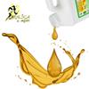 8oz (240ml) ARNICAmfort Arnica Glycerin Tincture Extract Extra Strength Concentrated (1:2)-Muscle Soothing Lotion, Bath Water, Foot Hand Soak, Dry Skin Cream, Hair Scalp Conditioner, Calming Softening view 2