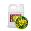 32oz(1/4gal) ARNICAmfort Arnica Glycerin Tincture Extract Extra Strength Concentrated (1:2)-Muscle Soothing Lotion, Bath Water, Foot Hand Soak, Dry Skin Cream, Hair Scalp Conditioner,Calming Softening view 1
