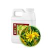 16oz (480ml) ARNICAmfort Arnica Glycerin Tincture Extract Extra Strength Concentrated (1:2)-Muscle Soothing Lotion, Bath Water, Foot Hand Soak, Dry Skin Cream, Hair Scalp Conditioner,Calming Softening view 1