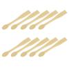 Beavorty 10pcs Makeup Spoons for Facial Creams Masks Products Easy to Use Lightweight Applicators for Beauty and Sampling view 2