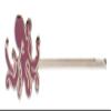 Cephalopods 3 Hair Pins Set - Nautilus, Squid, and Octopus view 4