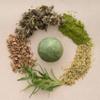 erigeron All-In-One Vegan Cruelty-Free Natural Ingredients Handmade Hemp Seed Oil Shampoo Bar with Zero Waste Box Packaging view 3