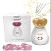 Honeyed Ionic Facial Steamer + Facial Tools view 1