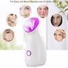 Honeyed Ionic Facial Steamer + Facial Tools view 4