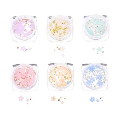 6 Boxes 3D Decoration Nail Ornaments 3D Nail Art Charm Flower Nail Decor 3D Flowers for Nails Manicure Decoration Nail Art Accessories 3D Nail Charms 3D Flowers Nail Charms