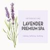 BODIPURE Professional Salon & At-Home Premium 4 Step Lavender Spa Kit, Skin Soothing, and Moisturizing Pedicure Treatment consists of Bath, Scrub, Mud, & Cream 24 Packs view 2