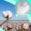 Nuogo Cotton Roll for Salon, 260 Feet 2lb Sliver Perm Cotton Coil for Hair Manicures Skin Care Beauty 900g Easy to Use view 3