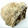 2 Lb 2.4 Ounce - 980 Gram Brown Cream Creme Dendridic Opal Cabochon Rough US89 view 4
