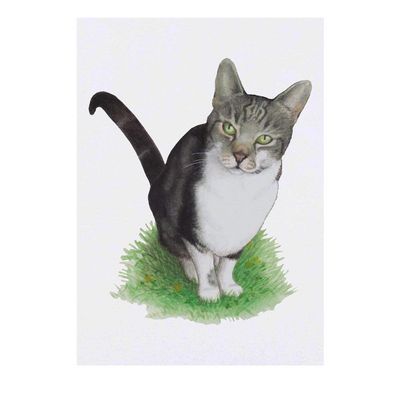 Azeeda 'Tabby Cat' Temporary Tattoo - Water Resistant, Skin-Safe, Non-Toxic Transfer (TO00033290)