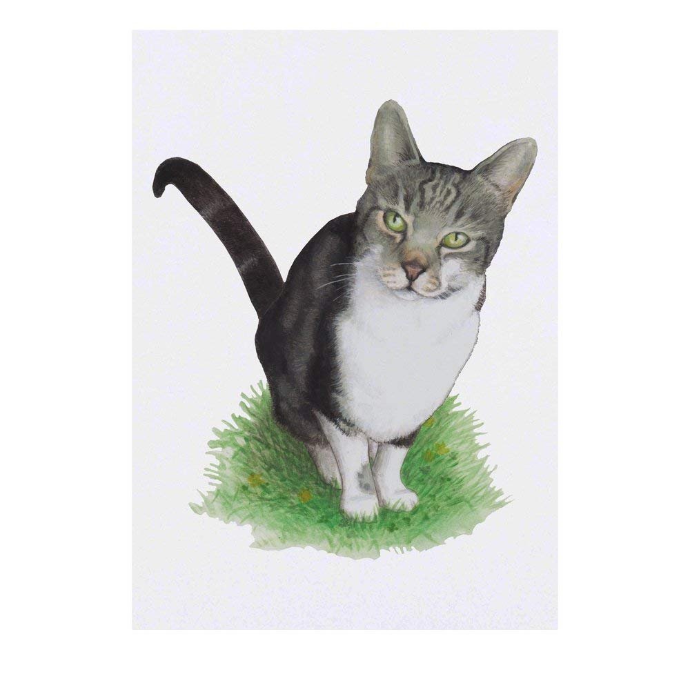 Azeeda 'Tabby Cat' Temporary Tattoo - Water Resistant, Skin-Safe, Non-Toxic Transfer (TO00033290)