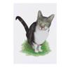 Azeeda 'Tabby Cat' Temporary Tattoo - Water Resistant, Skin-Safe, Non-Toxic Transfer (TO00033290) view 1