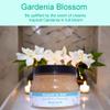 Gardenia Blossom Body Scrub (8 Ounce) - Phthalate Free Fragrance - Smooths & Refreshes With Natural Exfoliation with a Rousing Floral Scent view 2