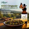 Allurials 100% Organic & All Natural Plant-Based Squalane Oil for Face, Hair, & Body, Cold Pressed and Unrefined Premium Grade Multipurpose Facial Oil for Moisturize, Smooth, and Soften Skin - 1 Oz view 2