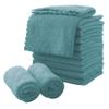 MOONQUEEN Microfiber Facial Cloths Fast Drying Washcloth 12 Pack - Premium Soft Makeup Remover Cloths - Teal view 1