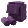 MOONQUEEN Microfiber Facial Cloths Fast Drying Washcloth 12 Pack - Premium Soft Makeup Remover Cloths - Grape Purple view 1