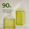 STEAMBASE Tea Tree Scalp Treatment | Purifies and Exfoliates Oily Scalp | Natural BHA & Tea Tree | Removes Odor & Buildup | Hypoallergenic Exfoliator, 8.42 fl oz view 3