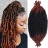 20 Inch Pre-Separated Springy Afro Twist 8 Pack Spring Twist Crochet Braiding Hair For Butterfly Soft Locs Synthetic Marley Twist Hair Extension For Black Women(8 Strands/Pack,RS350#) view 1