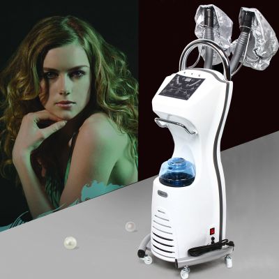 110V Stand Hair Steamer Salon Evaporator Hair Dyeing Oil Treatment Machine Salon Spa Beauty Vertical Heat Cap Hairspray Steamer Perming Machine 700W with Smart Panel and Pulley Design