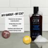 American Crew Anti-Dandruff + Dry Scalp Shampoo for Men, Hair Care Gift for Him, Citrus Mint Scent, 8.4 fl oz view 2