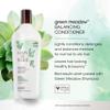 Bain de Terre Balancing Shampoo & Conditioner Set | Green Meadow | Normal to Oily Hair | Paraben Free | 13.5 Fl Oz view 4