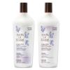 Bain de Terre Color Enhancing Shampoo and Conditioner Set | Lavender | Neutralizes Brassy Tones for Color-Treated Hair | Paraben Free | Color-Safe | 10.1 Fl Oz view 1