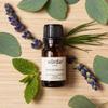 Vorda Winter Breath, 100% Pure Essential Oil Blend, Pine, Eucalyptus, Peppermint, Lavender, 1/3 fl oz view 2