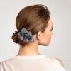 Mobestech French Hair Pin Double Wire Metal Hair Clips, Crystal Hair Clips Comfortable Hold Girls Ladies Snap Clip Barrettes view 2