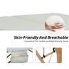 Haiput Wam Portable Massage Table Folding with Free Accessories, Wooden/Aluminum 84" Bed 2" Cushion 2/3 Section Massage Spa Bed,Height-Adjustable Salon Bed (Beech Cream 2 Section) view 4