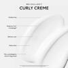 SEEN Curly Creme, Fragrance Free - Non-Comedogenic & Curl Defining Styling Hair Cream- Anti Frizz- Heat Protectant- Safe for Sensitive Skin view 3