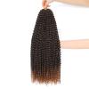 Dansama 6 Packs Passion Twist Hair Water Wave Braiding Hair for Butterfly Style Crochet Braids Bohemian Hair Extensions (24inch, T1B/30, Economy Pack) view 1