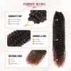 Dansama 6 Packs Passion Twist Hair Water Wave Braiding Hair for Butterfly Style Crochet Braids Bohemian Hair Extensions (24inch, T1B/30, Economy Pack) view 4